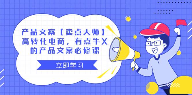 产品文案【卖点大师】高转化电商，有点牛X的 产品文案必修课-