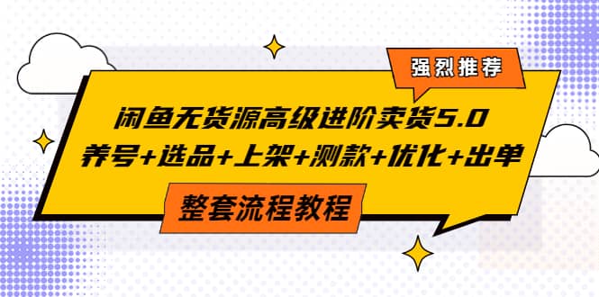 闲鱼无货源高级进阶卖货5.0，养号+选品+上架+测款+优化+出单整套流程教程-