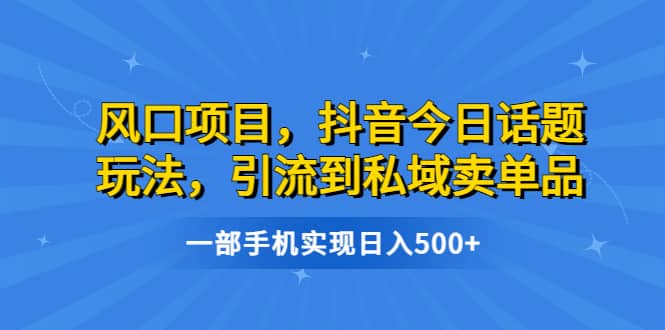 风口项目，抖音今日话题玩法，引流到私域卖单品，一部手机实现日入500+-