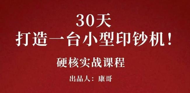 康哥30天打造一台小型印钞机：躺赚30万的项目完整复盘（视频教程）-