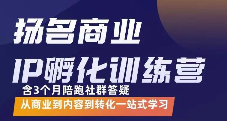 杨名商业IP孵化训练营，从商业到内容到转化一站式学 价值5980元-