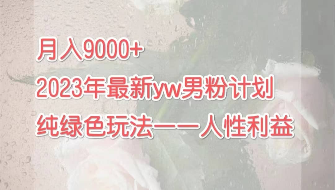 月入9000+2023年9月最新yw男粉计划绿色玩法——人性之利益-