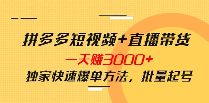 拼多多短视频+直播带货，一天赚3000+独家快速爆单方法，批量起号-