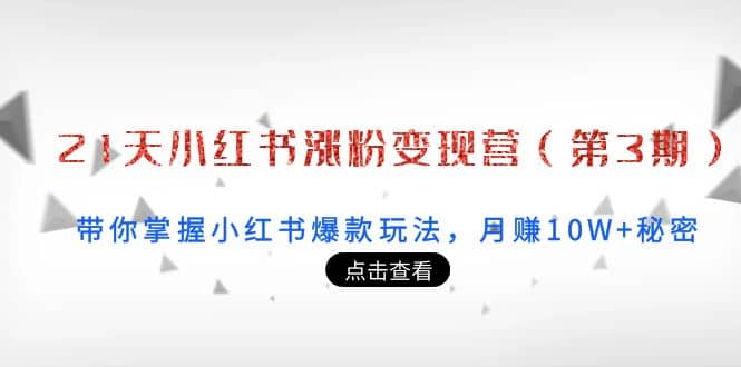 21天小红书涨粉变现营（第3期）：带你掌握小红书爆款玩法，月赚10W+秘密-