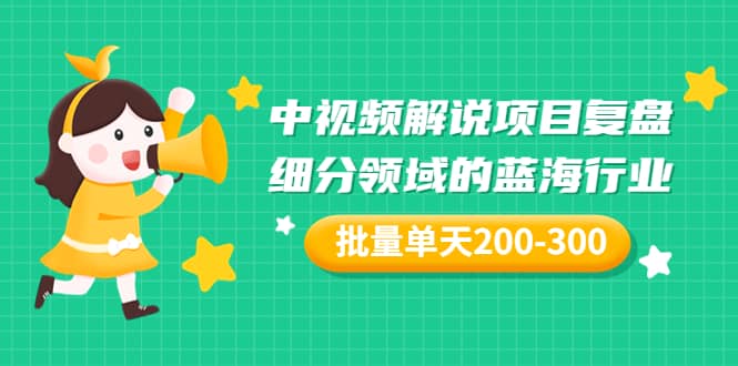 某付费文章：中视频解说项目复盘：细分领域的蓝海行业 批量单天200-300收益-