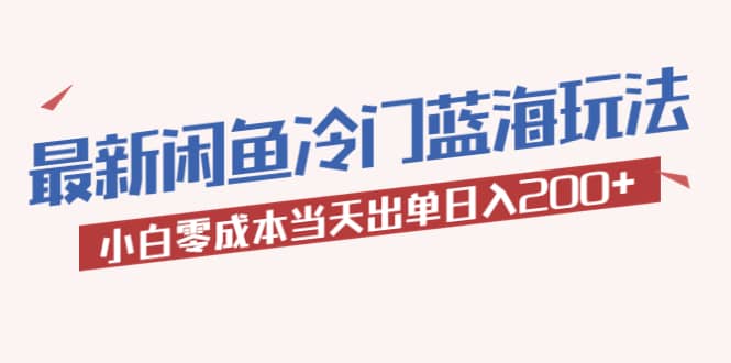 2023最新闲鱼冷门蓝海玩法，小白零成本当天出单日入200+-