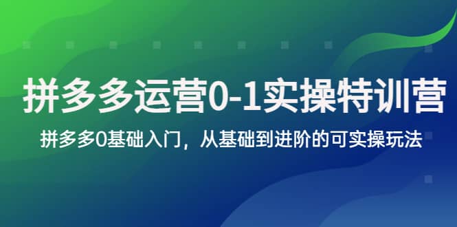 拼多多-运营0-1实操训练营，拼多多0基础入门，从基础到进阶的可实操玩法-