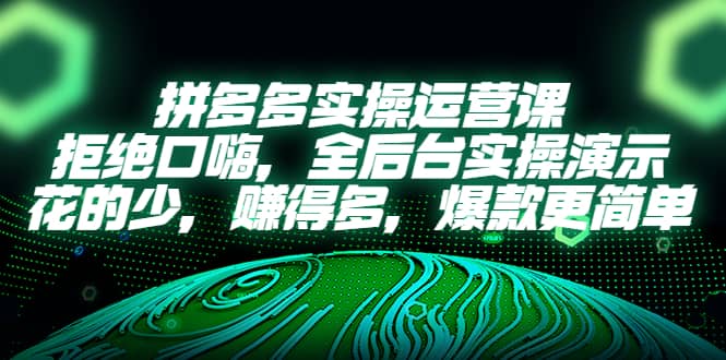 拼多多实操运营课：拒绝口嗨，全后台实操演示，花的少，赚得多，爆款更简单-