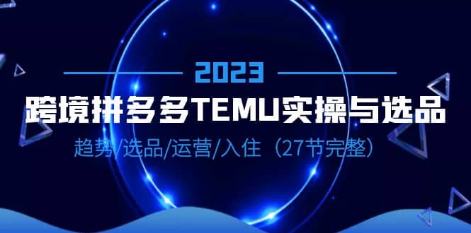 2023跨境·拼多多·TEMU实操与选品，趋势·选品·运营·入住（27节完整）-