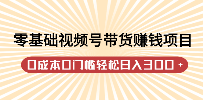 零基础视频号带货赚钱项目，0成本0门槛轻松日入300+【视频教程】-