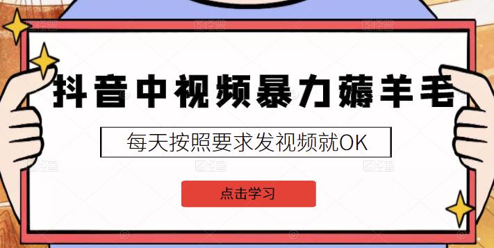 2022抖音中视频暴力薅羊毛白嫖项目：新号每天20块，老号几天几百块，可多号-