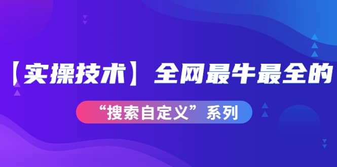 【实操技术】全网最牛最全的“搜索自定义”系列！价值698元-