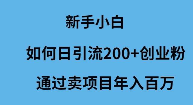 新手小白如何日引流200+创业粉通过卖项目年入百万-