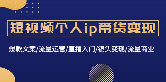 短视频个人ip带货变现：爆款文案/流量运营/直播入门/镜头变现/流量商业-