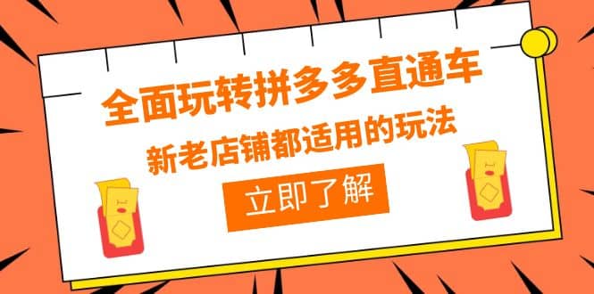 全面玩转拼多多直通车，新老店铺都适用的玩法（12节精华课）-