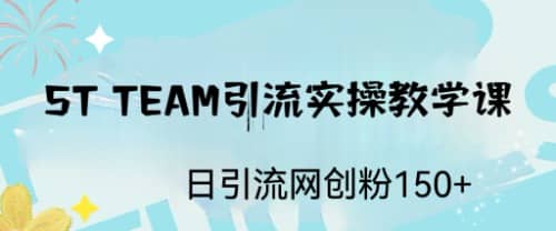 ST TEAM引流实操课，日引流网创粉100+-