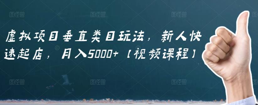 虚拟项目垂直类目玩法，新人快速起店，月入5000+【视频课程】-