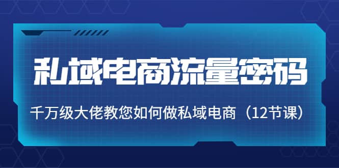 私域电商流量密码：千万级大佬教您如何做私域电商（12节课）-