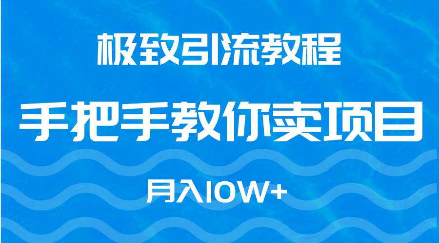 极致引流教程，手把手教你卖项目，月入10W+-