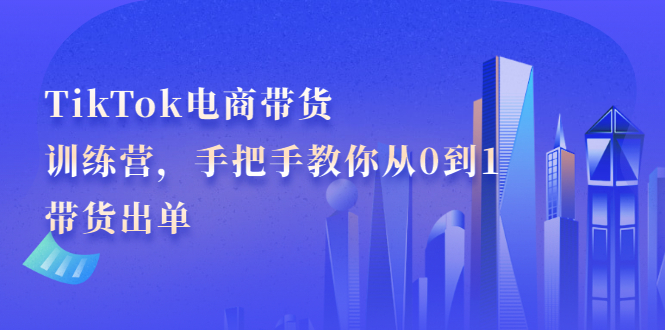 TikTok电商带货训练营，手把手教你从0到1带货出单-