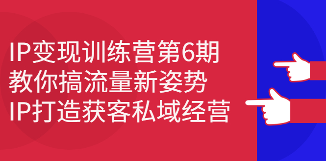 IP变现训练营第6期：教你搞流量新姿势，IP打造获客私域经营-