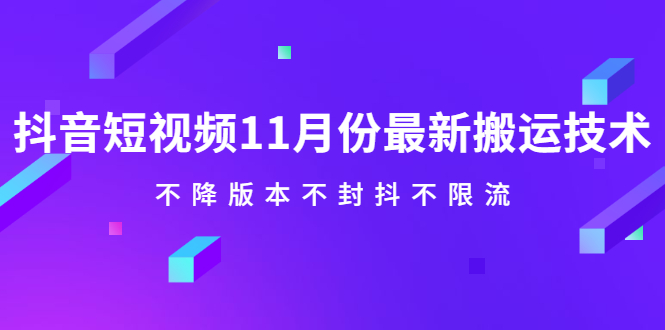 抖音短视频11月份最新搬运技术，不降版本不封抖不限流！【视频课程】-