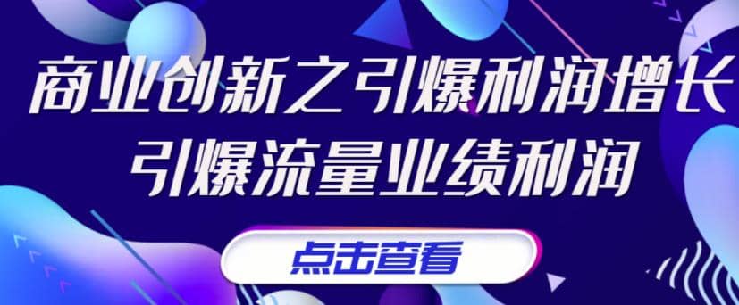 《商业创新之引爆利润增长》引爆流量业绩利润-