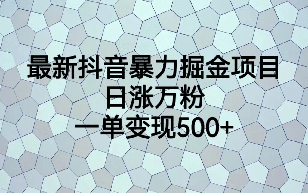 最火热的抖音暴力掘金项目，日涨万粉，多种变现方式，一单变现可达500+-