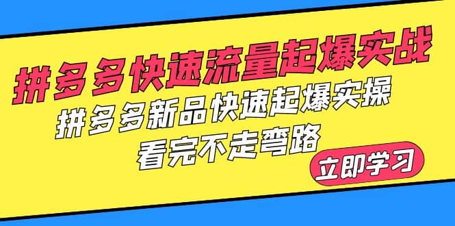 拼多多-快速流量起爆实战，拼多多新品快速起爆实操，看完不走弯路-