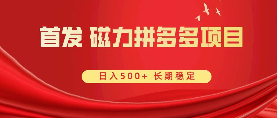 首发 磁力拼多多自撸  日入500+-