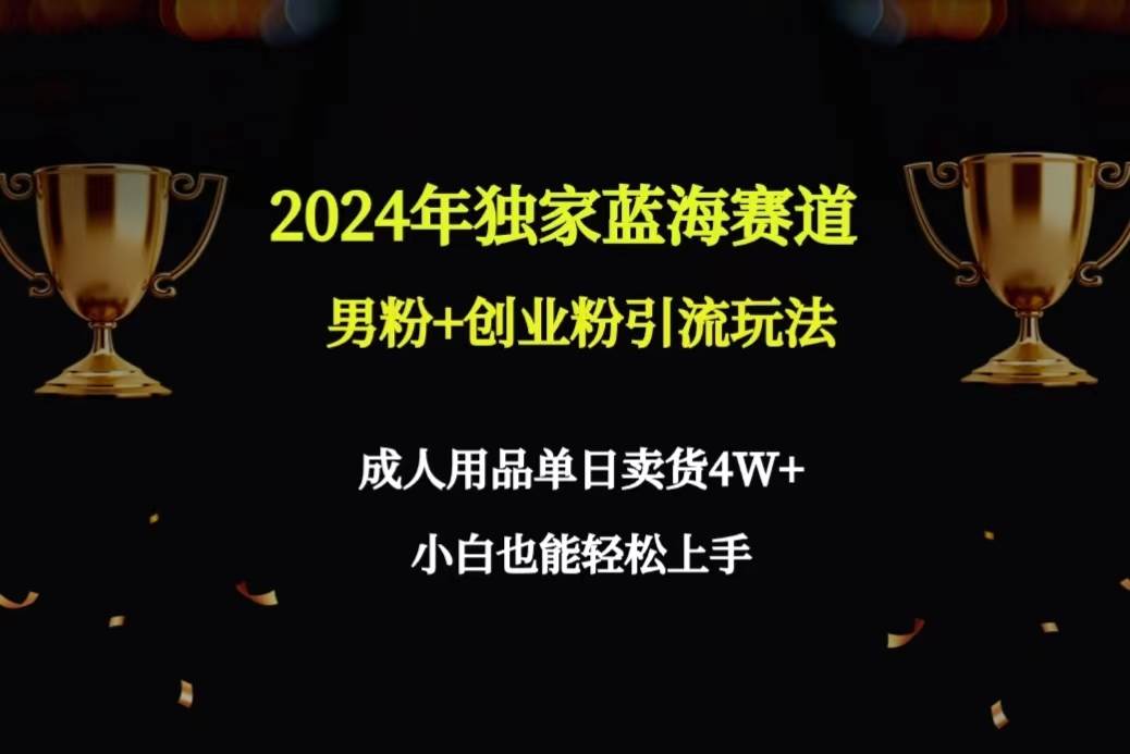 2024年独家蓝海赛道男粉+创业粉引流玩法，成人用品单日卖货4W+保姆教程-