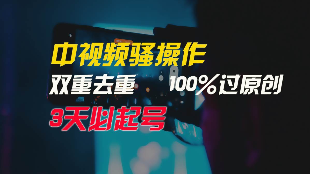 中视频骚操作，双重去重100%过原创，3天比必起号，简单无脑，月入3W+-