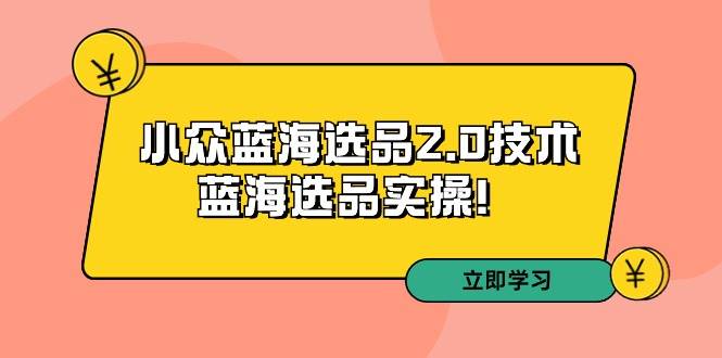 拼多多培训第33期：小众蓝海选品2.0技术-蓝海选品实操！-