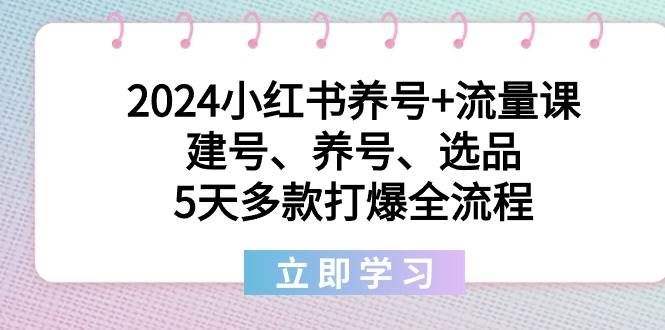 2024小红书养号+流量课：建号、养号、选品，5天多款打爆全流程-