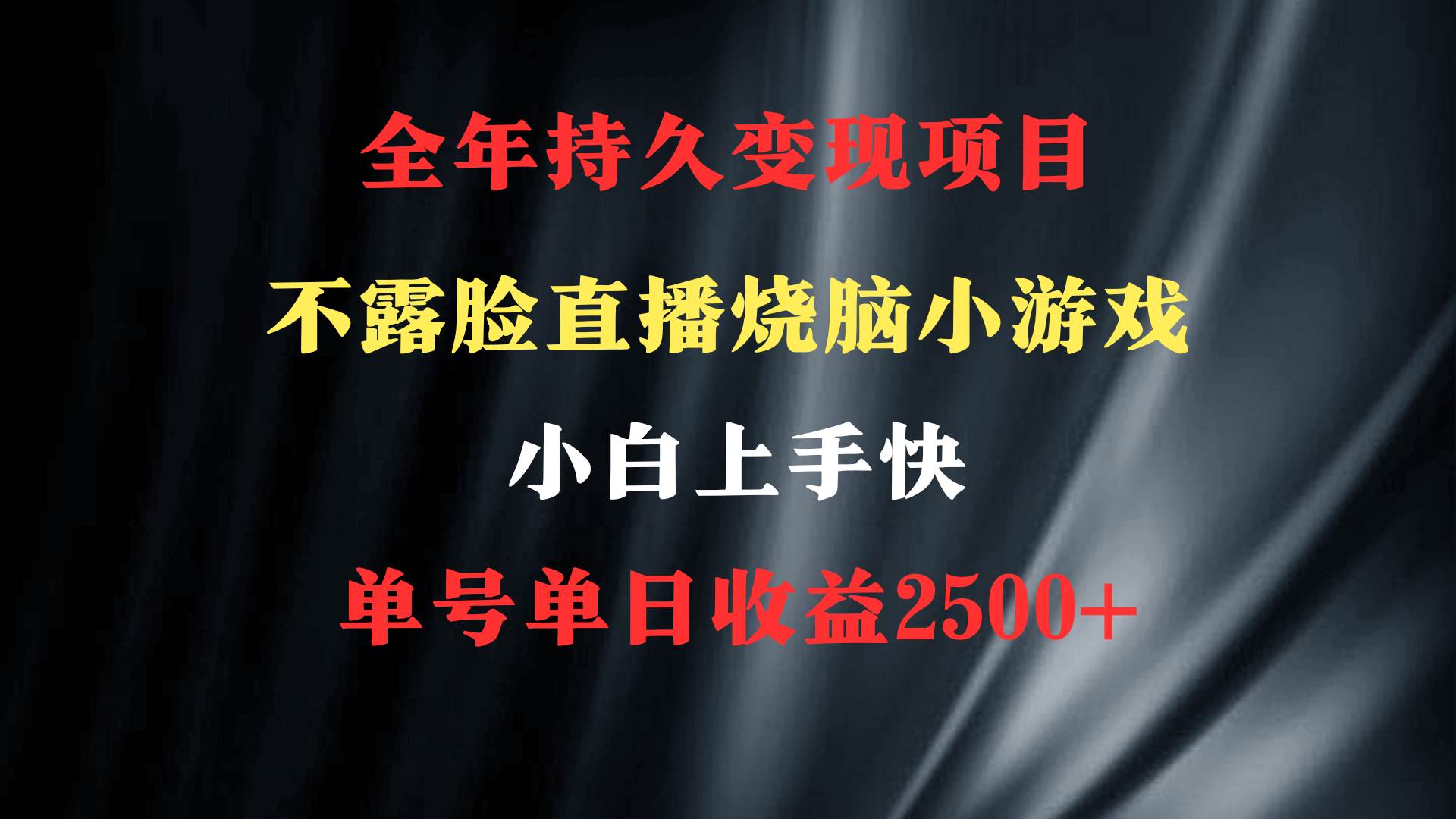 2024年 最优项目，烧脑小游戏不露脸直播  小白上手快 无门槛 一天收益2500+-