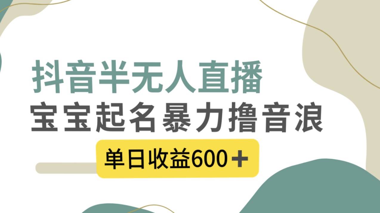 抖音半无人直播，宝宝起名，暴力撸音浪，单日收益600+-