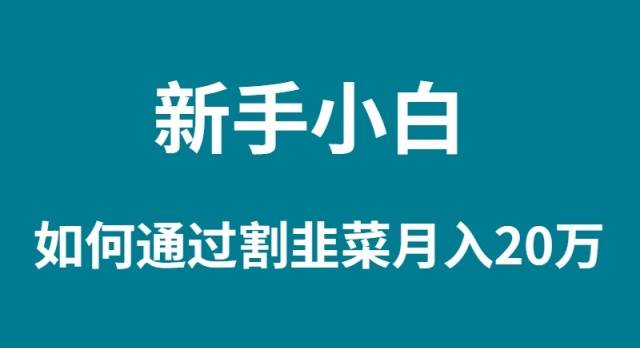 新手小白如何通过割韭菜月入 20W-