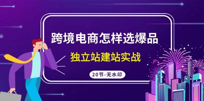 跨境电商怎样选爆品，独立站建站实战（20节高清无水印课）-