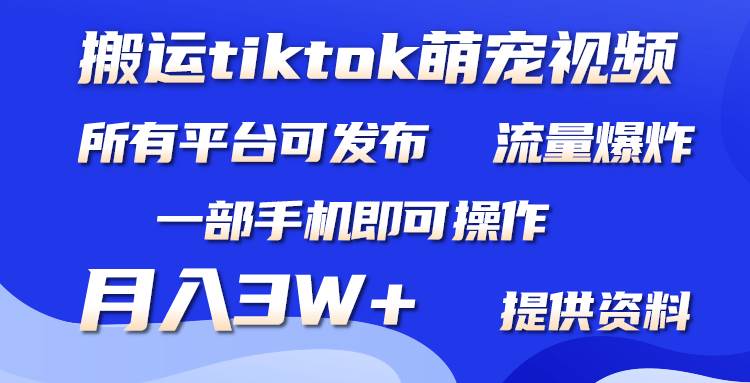 搬运Tiktok萌宠类视频，一部手机即可。所有短视频平台均可操作，月入3W+-