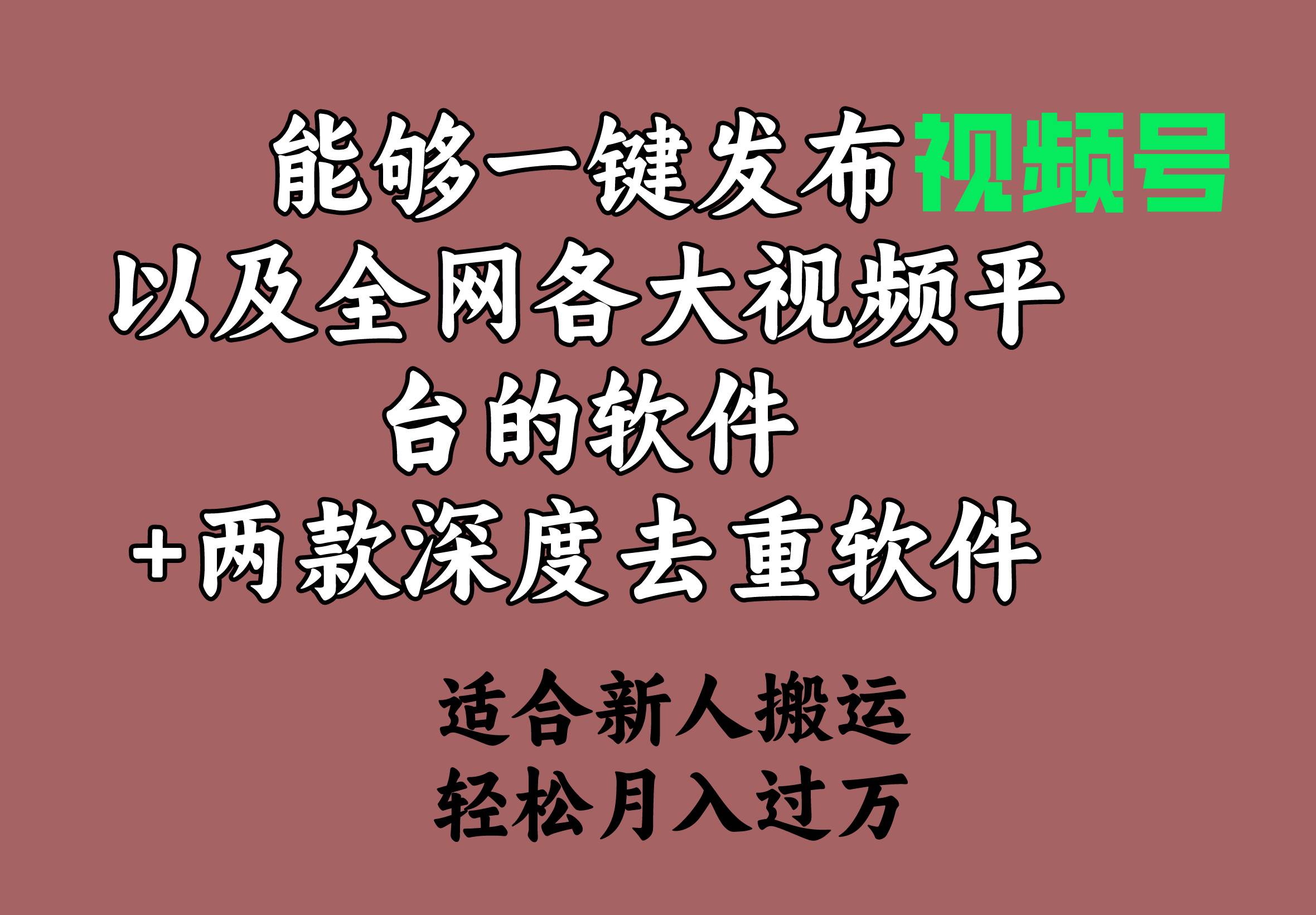 能够一键发布视频号以及全网各大视频平台的软件+两款深度去重软件 适合…-