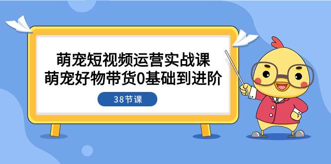 萌宠·短视频运营实战课：萌宠好物带货0基础到进阶（38节课）-