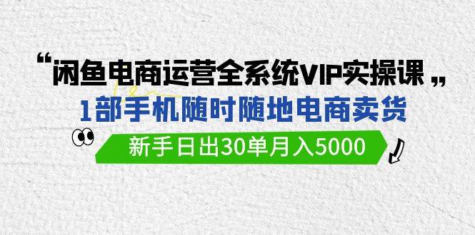 闲鱼电商运营全系统VIP实战课，1部手机随时随地卖货，新手日出30单月入5000-