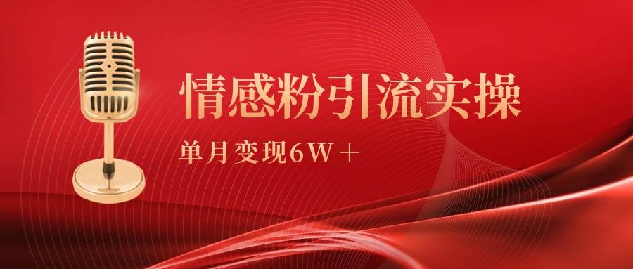 单月变现6w+，情感粉引流变现实操课-