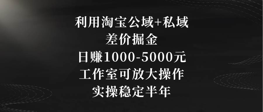 利用淘宝公域+私域差价掘金，日赚1000-5000元，工作室可放大操作，实操…-