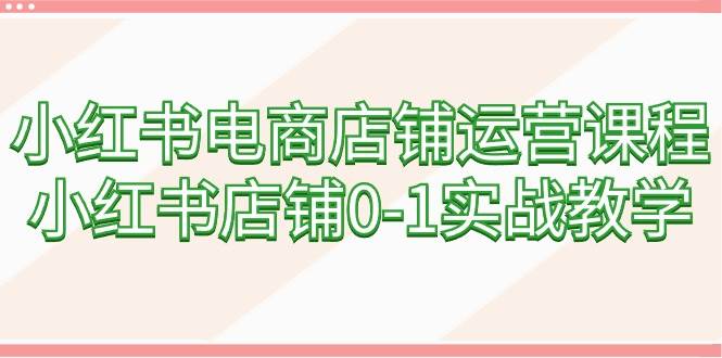 小红书电商店铺运营课程，小红书店铺0-1实战教学（60节课）-