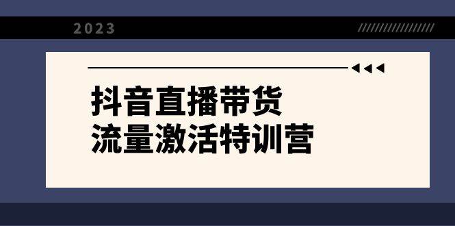 抖音直播带货-流量激活特训营，入行新手小白主播必学（21节课+资料）-