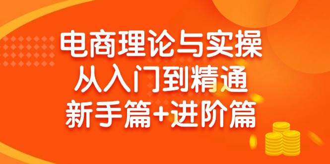 电商理论与实操从入门到精通 新手篇+进阶篇-