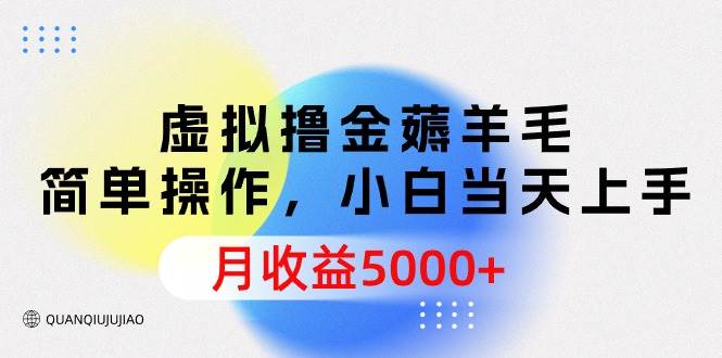 虚拟撸金薅羊毛，简单操作，小白当天上手，月收益5000+-