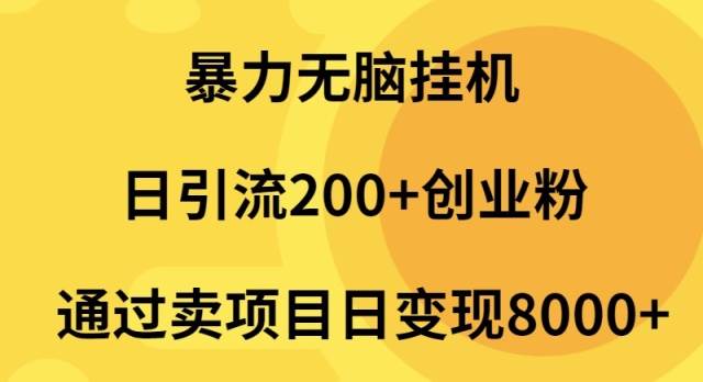 暴力无脑挂机日引流200+创业粉通过卖项目日变现2000+-