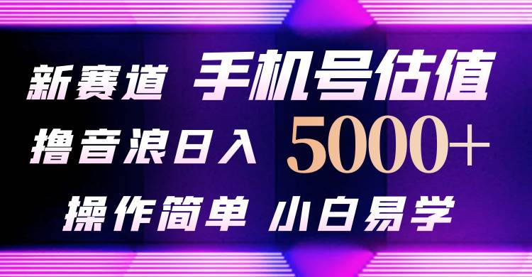 抖音不出境直播【手机号估值】最新撸音浪，日入5000+，简单易学，适合…-